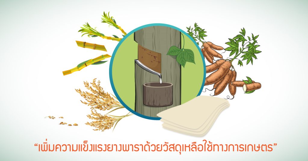 เติมเซลลูโลสเสริมความแกร่งยางพารา นำยางไทยบุกตลาดโลก